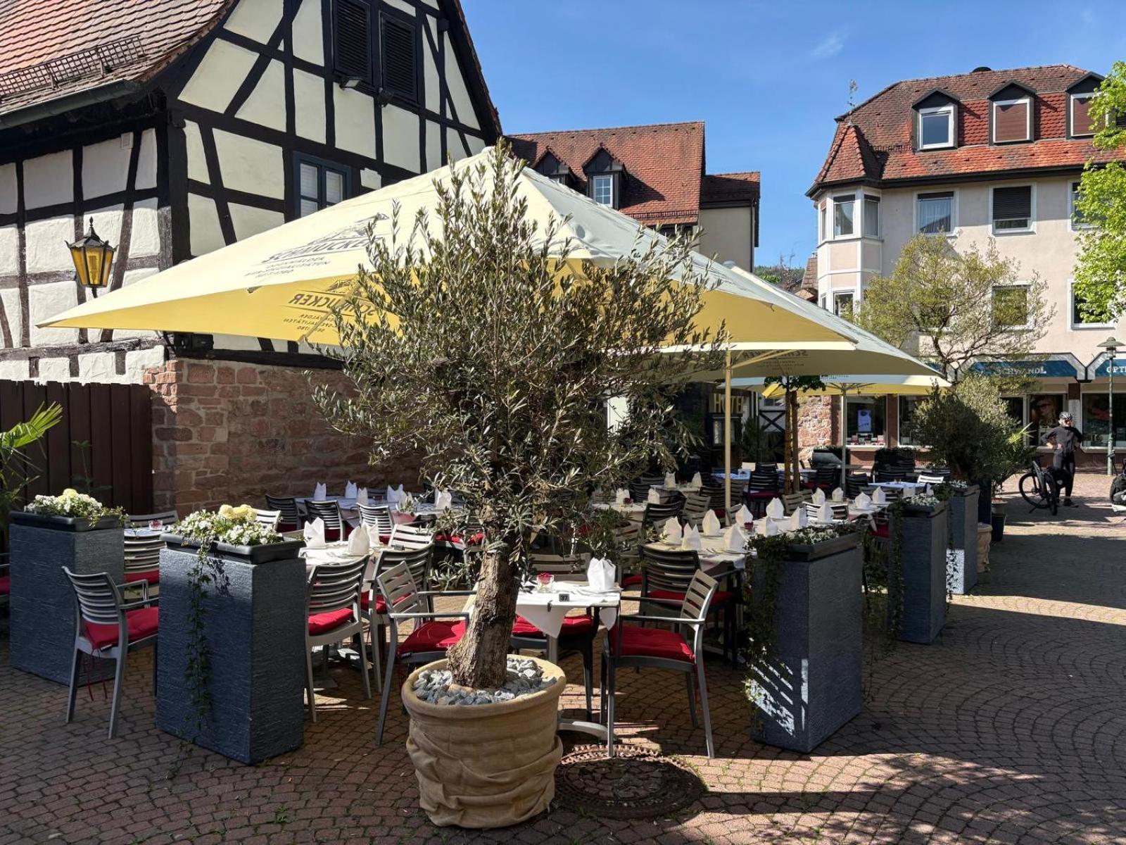 Hotel Restaurant Altes Badhaus Eberbach  Ngoại thất bức ảnh